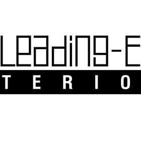 Logotypes: THE LEADING EDGE NTERIORS